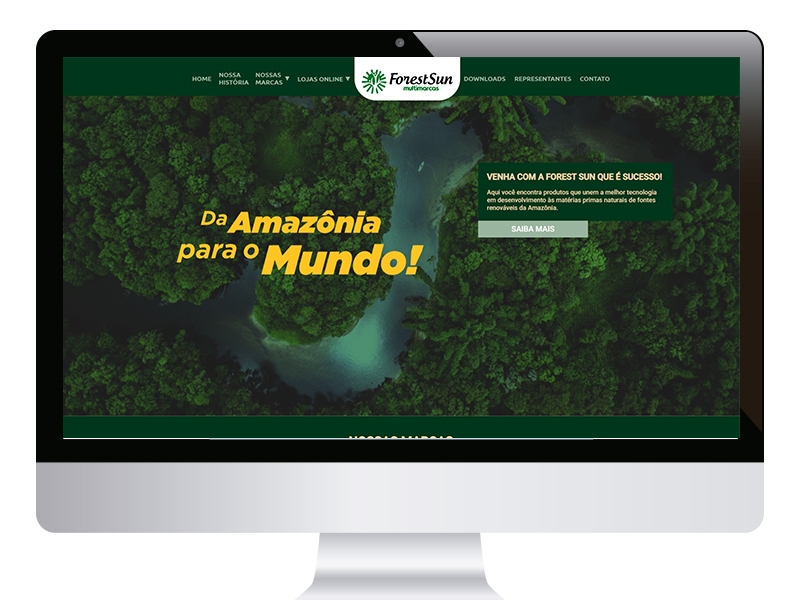 https://www.crisoft.com.br/criacao-de-sites-campinas-brazil.php - Forest Sun